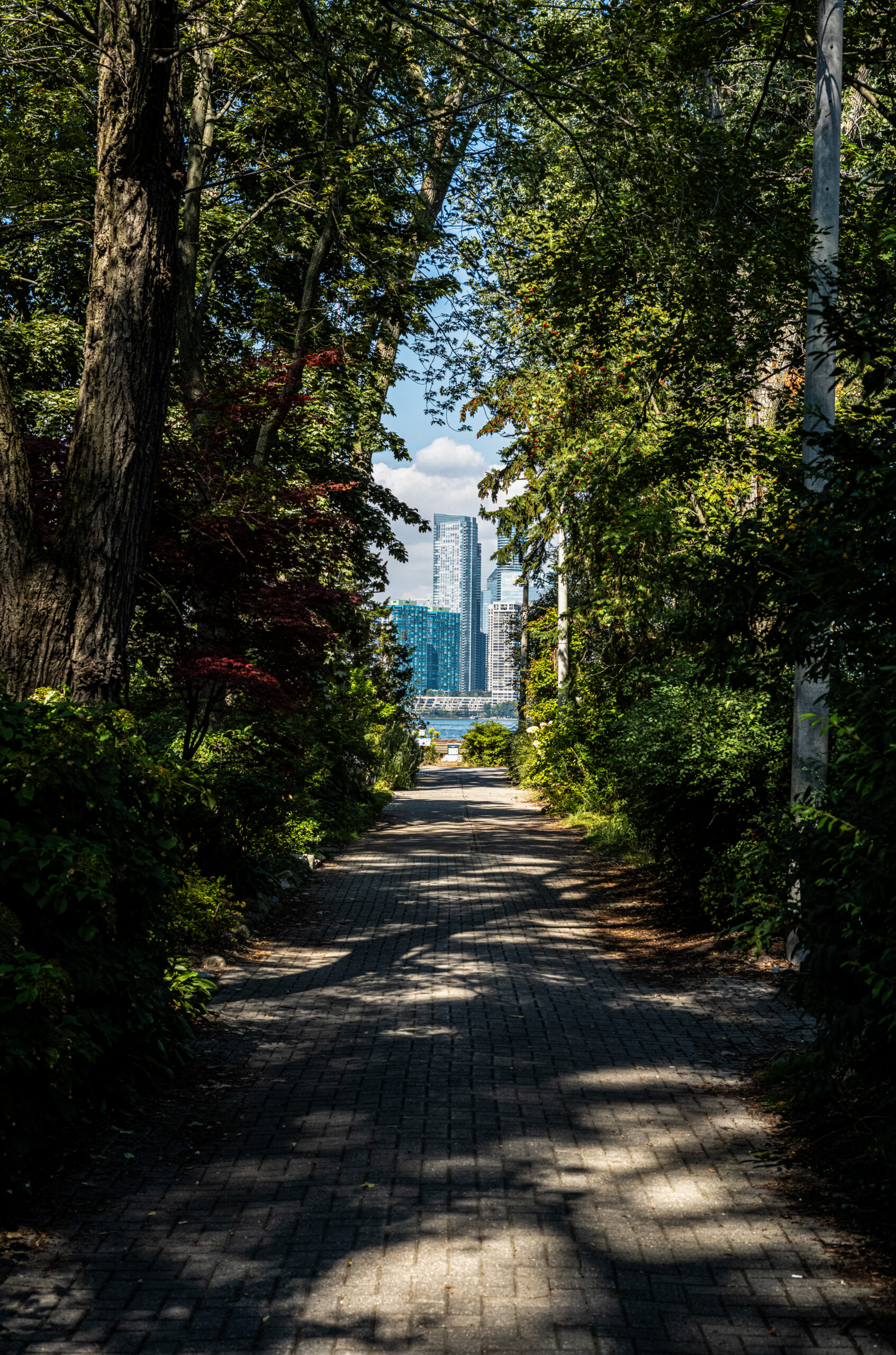 Toronto Island