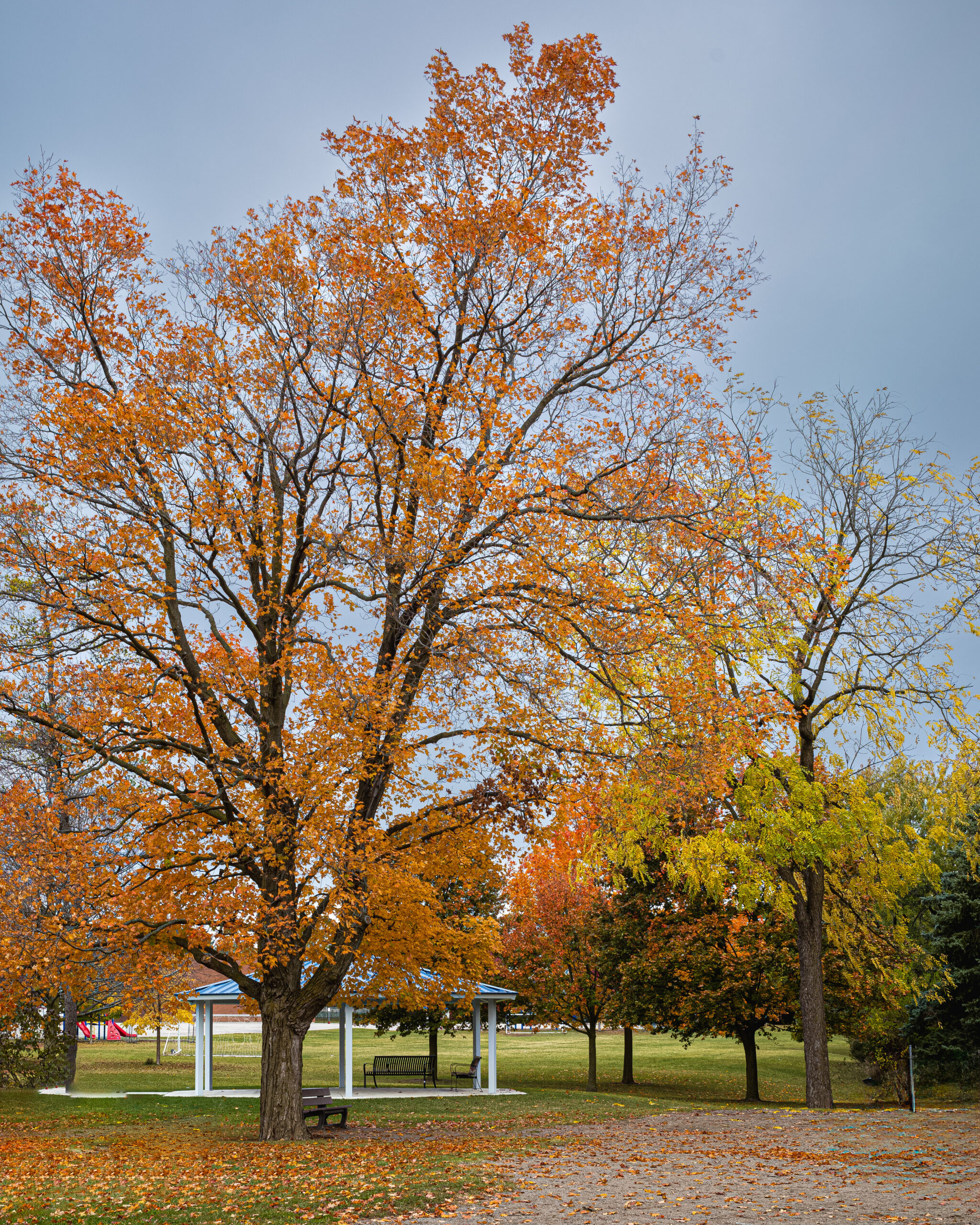 Windy Hill Park