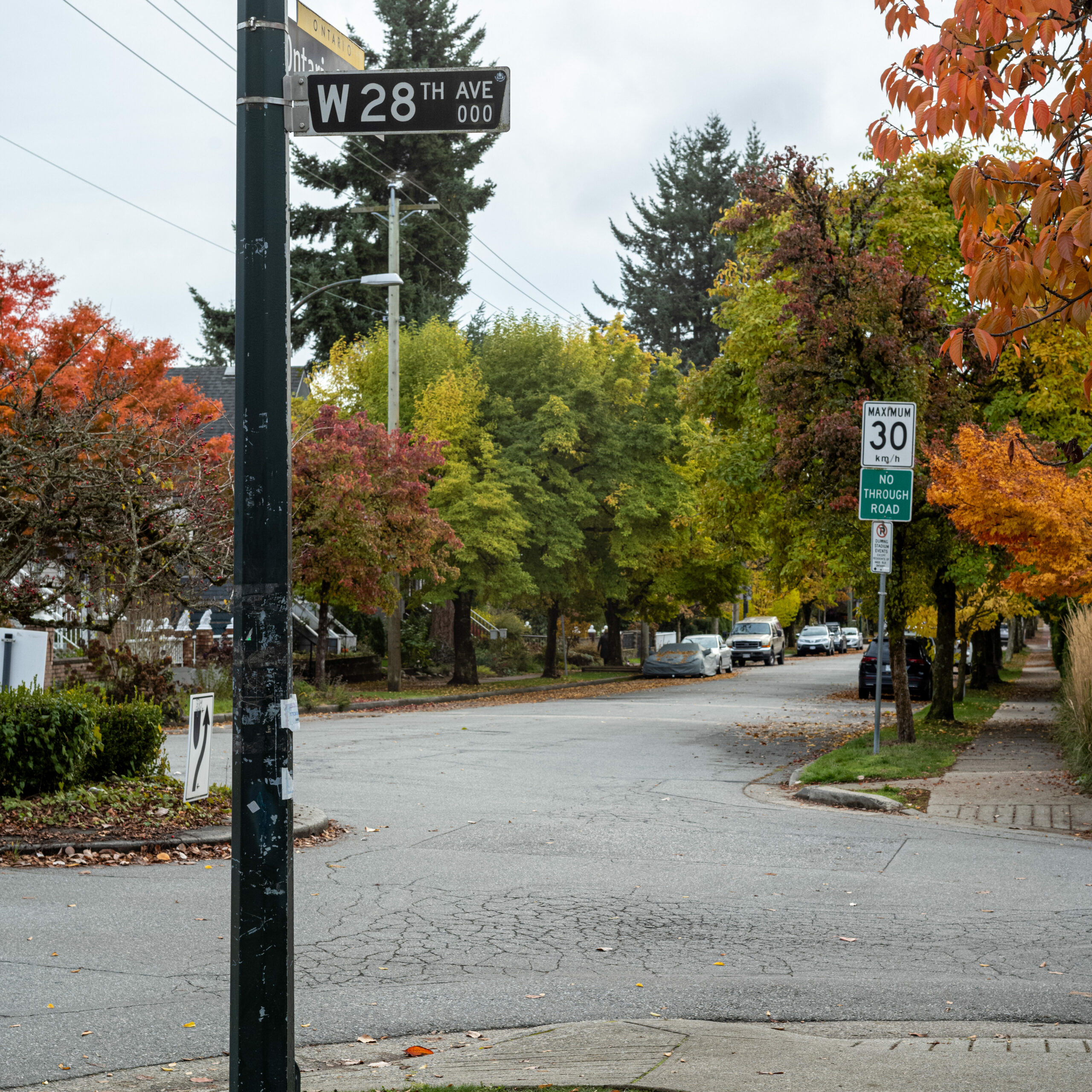 2023-11 Vancouver, BC, Canada, Content, Nature, Other, Places, Plant, Projects, Sign, Vancouver, W28th