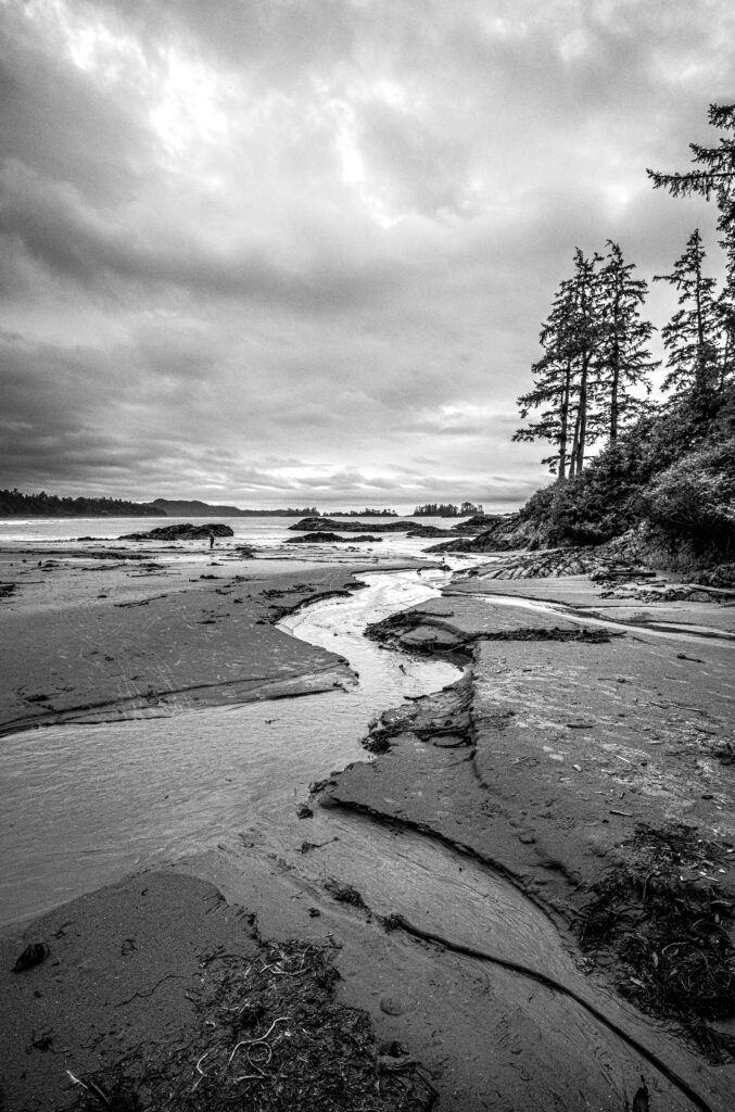 2023-11 Vancouver, BC, Beach, Canada, Content, High Contrast, Nature, Other, Outdoor, Photography, Place, Places, Plant, Projects, Sand, Tofino, Travel, Tree, Unsaturated, Wood