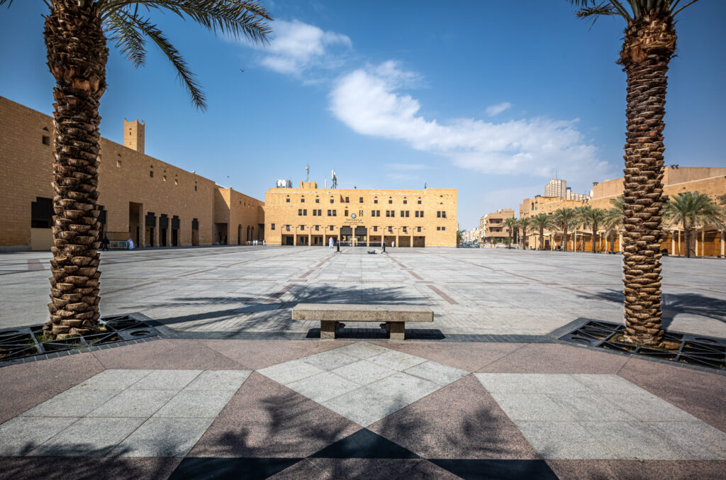 2024-02 Saudi Arabia, Nature, Palm Tree, Plant, Projects, Wood