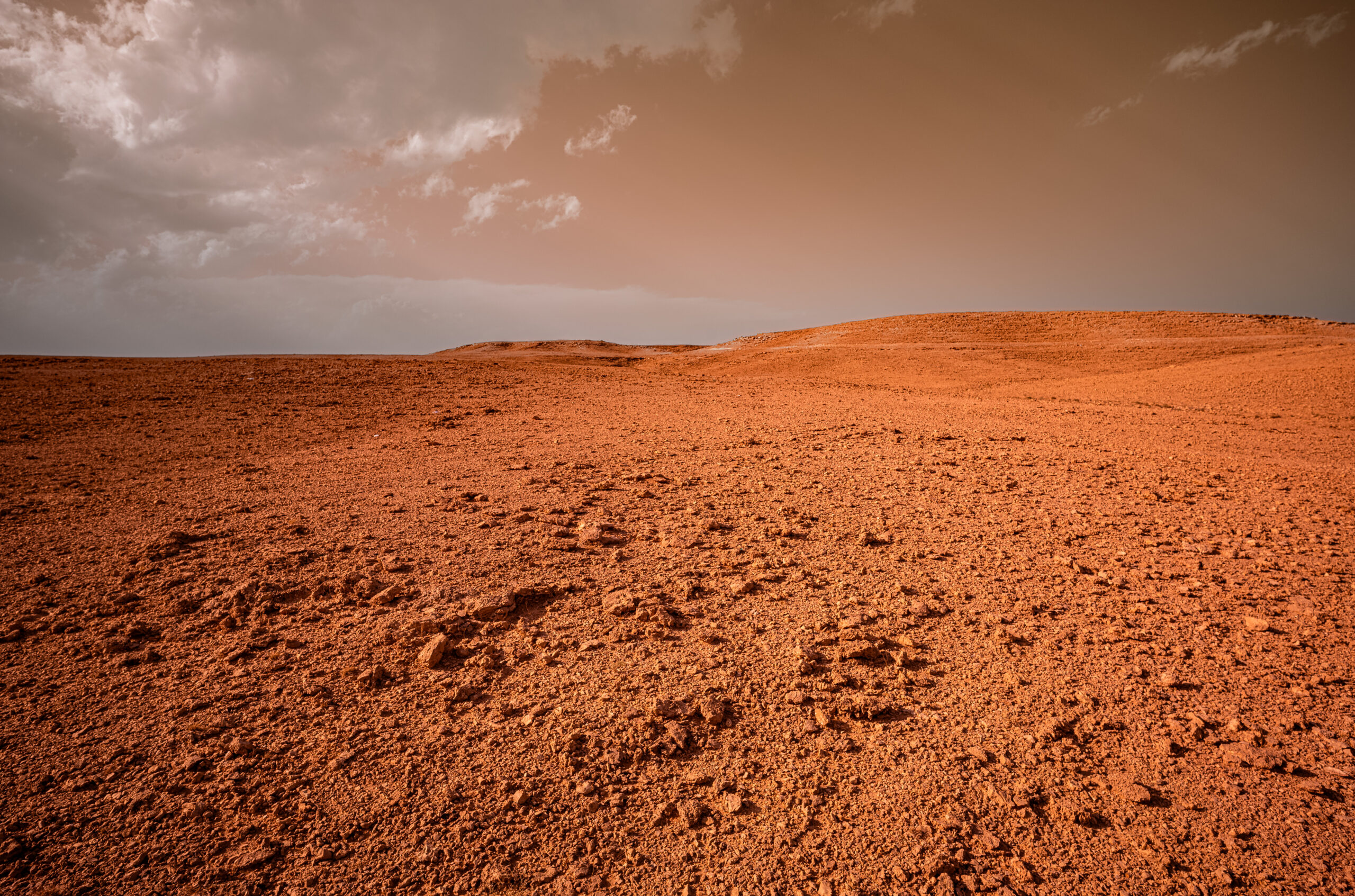 A Martian Landscape